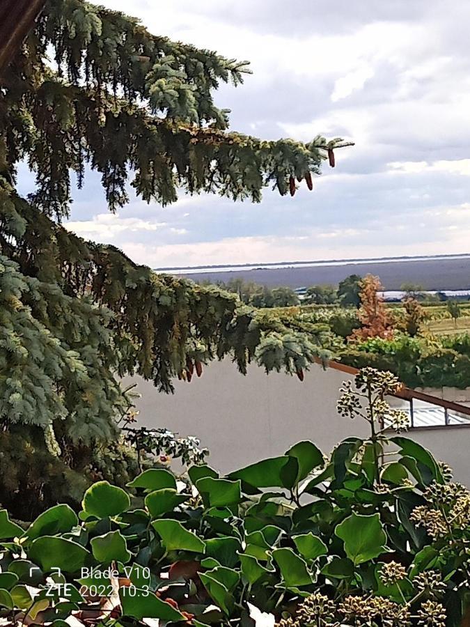 Ferienwohnung Zur Kirschblute Purbach am Neusiedlersee Bagian luar foto