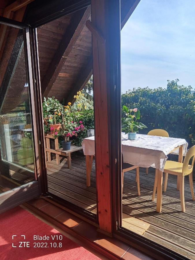 Ferienwohnung Zur Kirschblute Purbach am Neusiedlersee Bagian luar foto