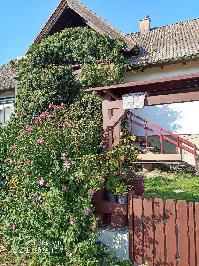 Ferienwohnung Zur Kirschblute Purbach am Neusiedlersee Bagian luar foto