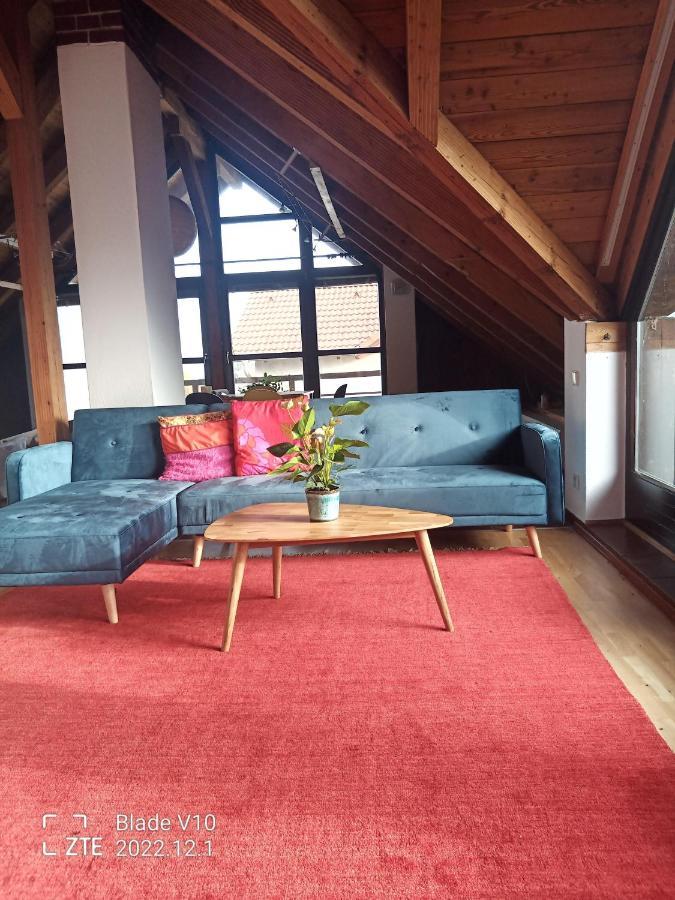 Ferienwohnung Zur Kirschblute Purbach am Neusiedlersee Bagian luar foto